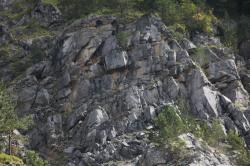 Cliffs Overgrown Rock